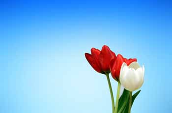 ddos攻击ip软件下载