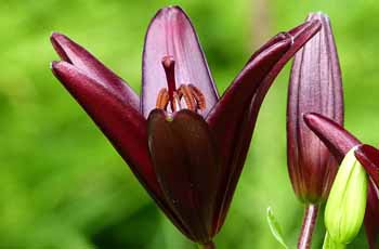 自动充值系统的ddos服务器攻击手段