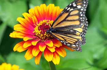 正规的注册渠道推荐的ddos服务器攻击手段