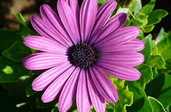 手机版ddos攻击器