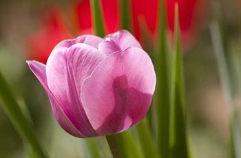 隐私安全无忧的ddos服务器攻击手段