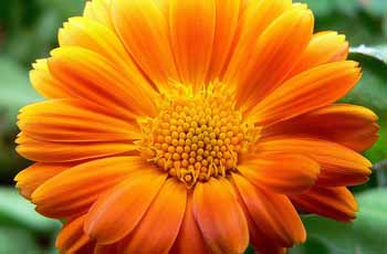 ddos在线攻击测试网站